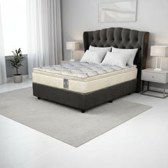 Mattress on a bed frame in a room with a plant and window.