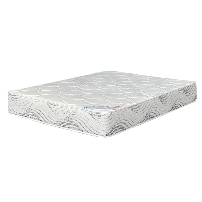 Dual Plush Foam King Bed Set Standard Length-zoom-