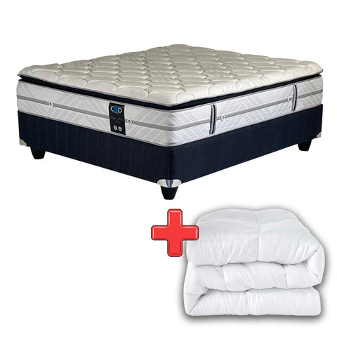 Serene Medium Queen Bed Set Standard Length