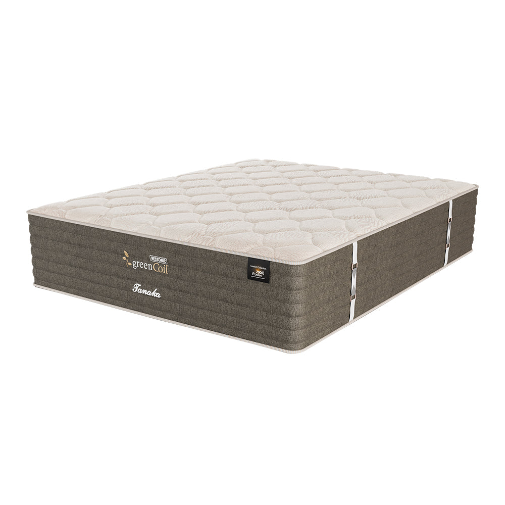 Restonic Tanaka Plush Double Mattress Extra Length