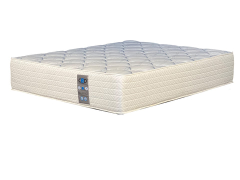 Spine Paedic Queen Bed Set Standard Length + FREE Mattress Protector