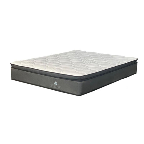 Wellness Coil Pillow Top Queen Mattress Standard Length