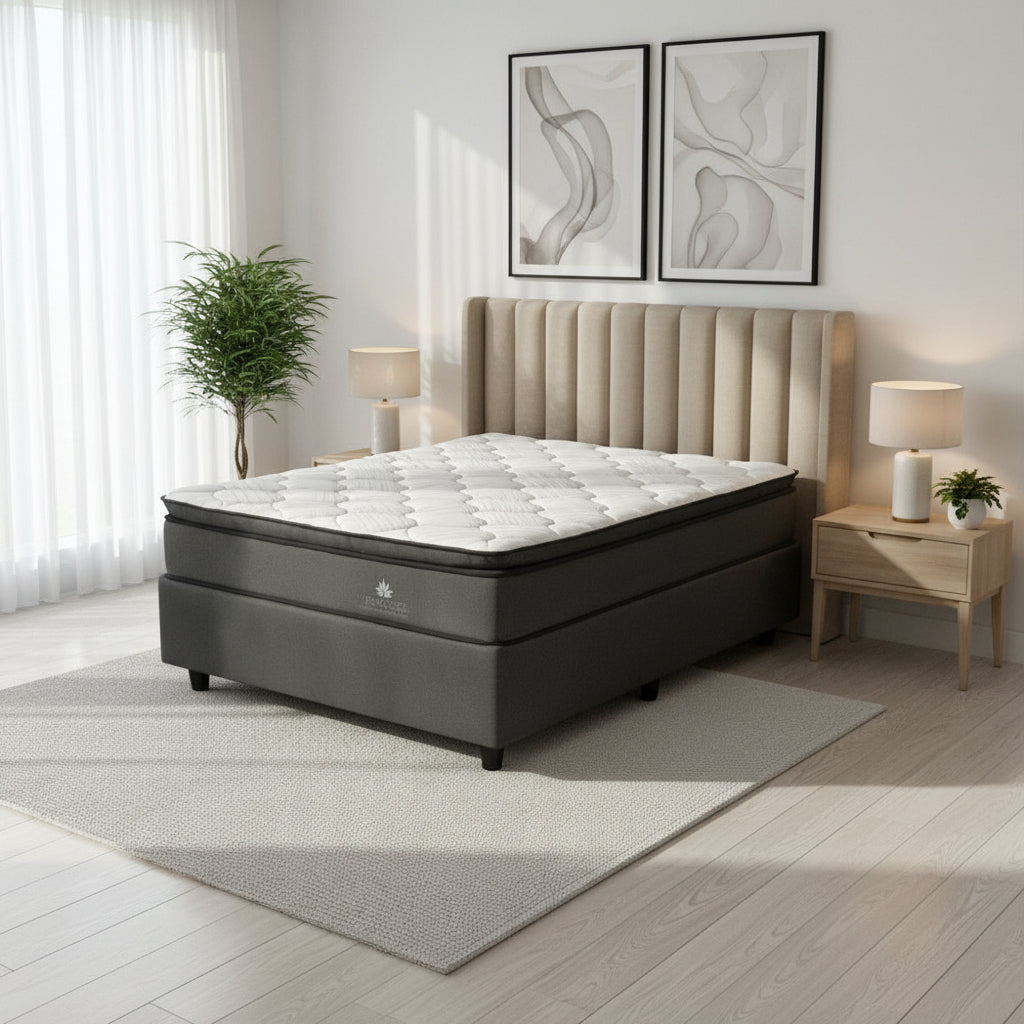 Gray mattress with a white top in a room with a window and plant