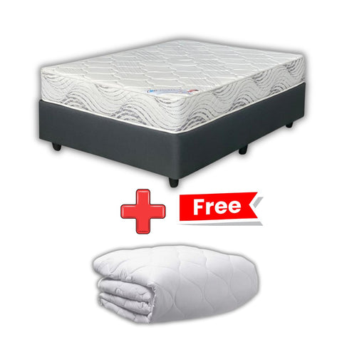 Dual Plush Foam Queen Bed Set Standard Length + FREE Mattress Protector