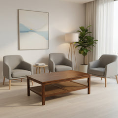 Wooden coffee table with a shelf on a white background