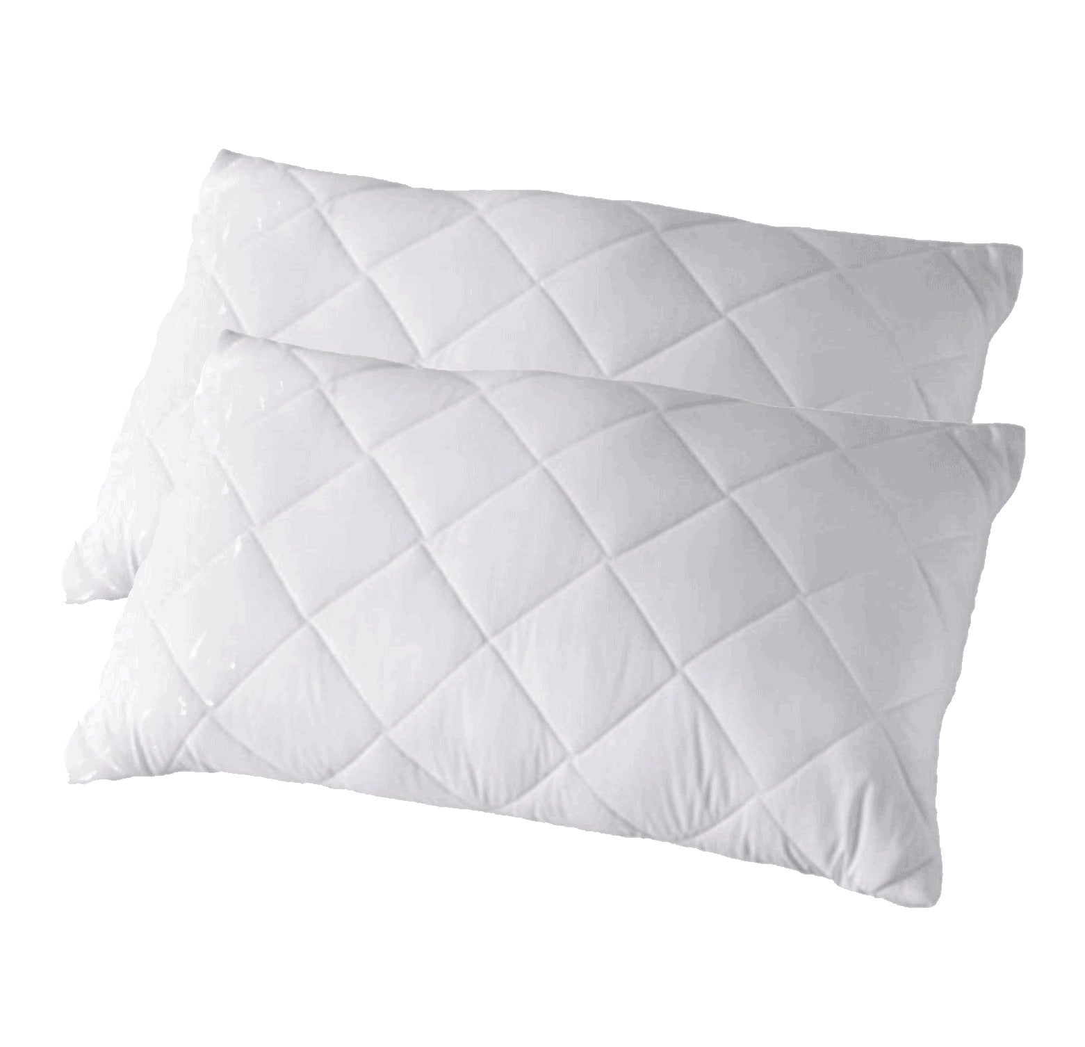Chip Latex Single Plain Bag Pillow Standard Length-5